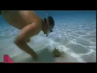 Watch Blue Theme (Blue) Video